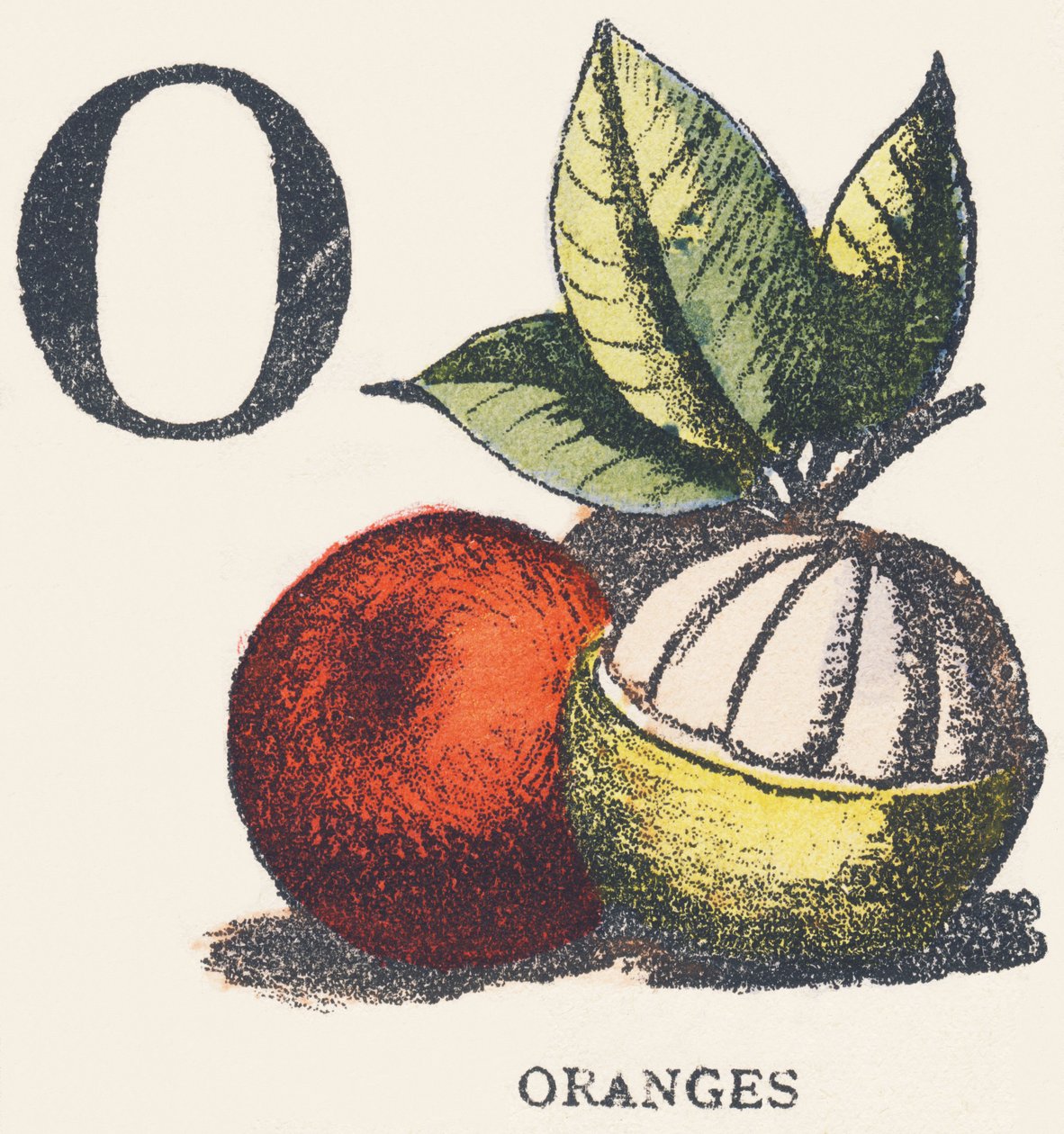 O: laranjas de Unknown artist