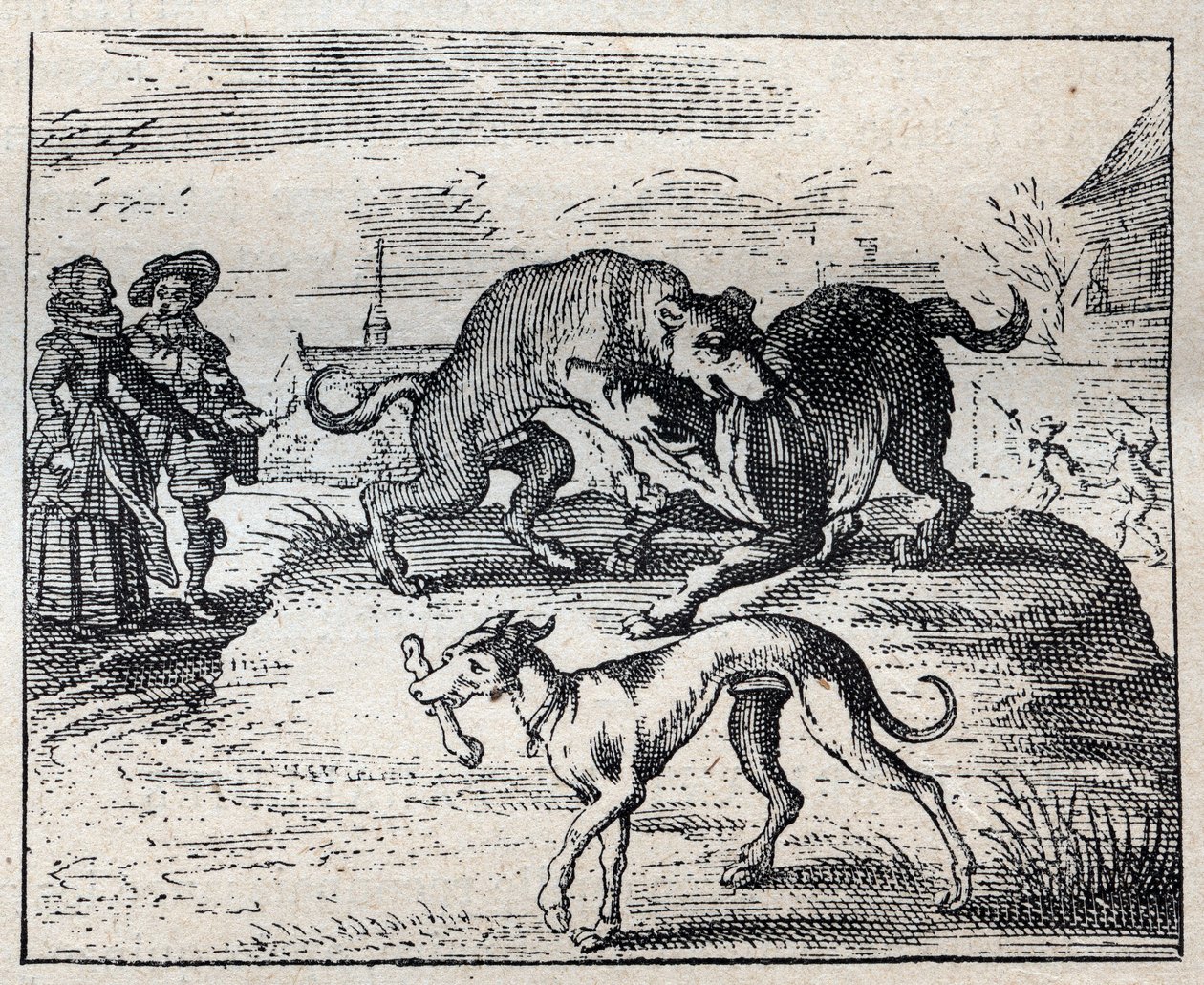 Velho provérbio inglês: dois cachorros lutam por um osso e o terceiro leva-o de Unknown artist