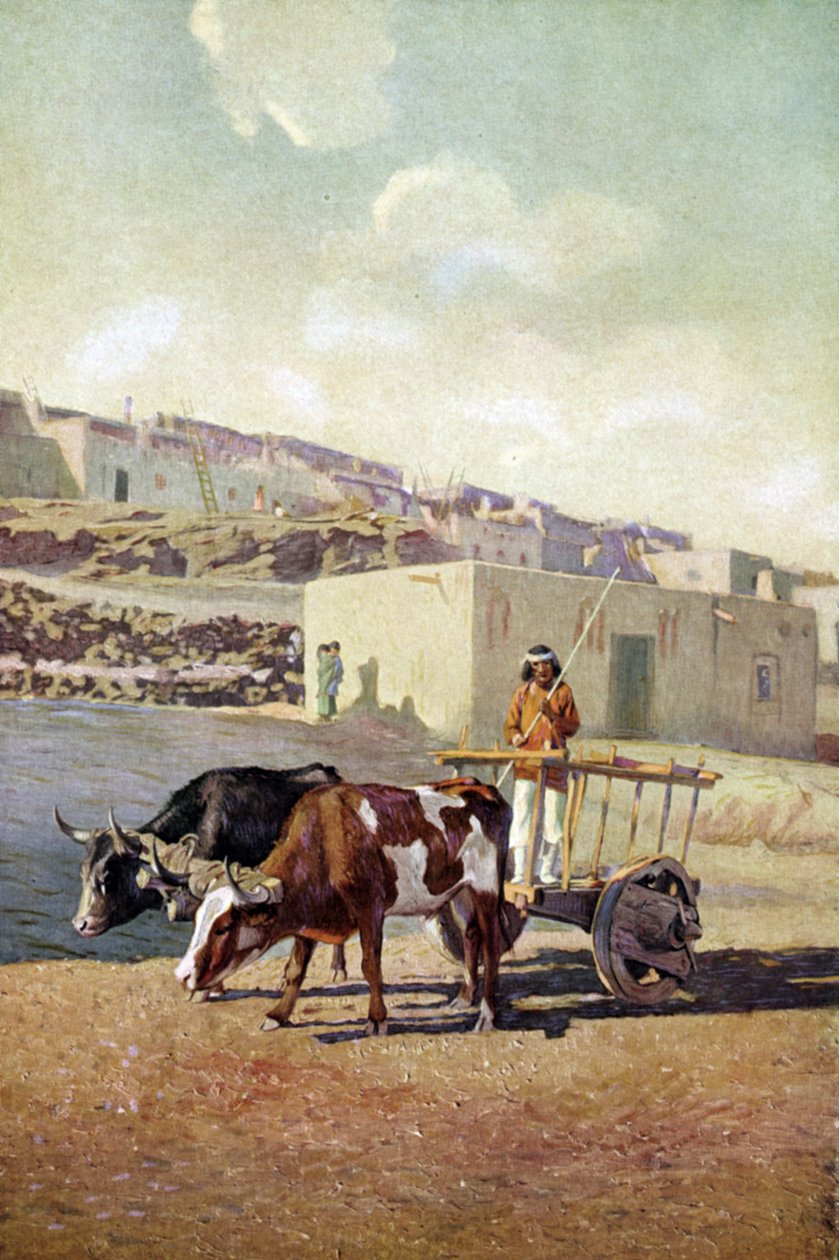 Caretta antiga (carroça) puxada por dois bois, conduzida por um nativo americano do povo Pueblo em Laguna, Novo México de Unknown artist