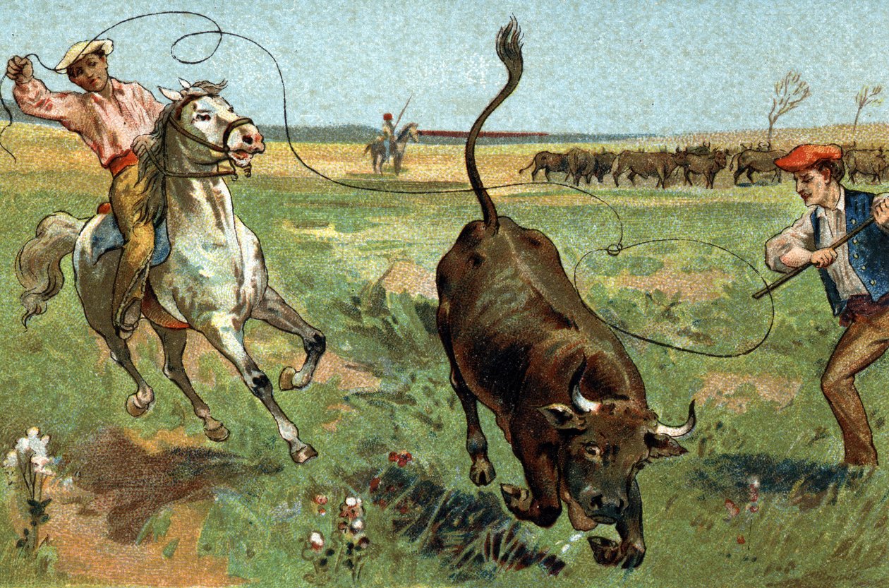 Antigo costume celebrado na região da Provença: a ferrada no Camargue. Cromolitografia do final do século XIX. de Unknown artist