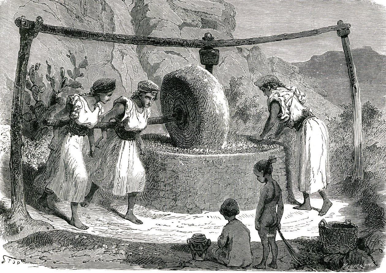 Moinho de moagem de azeitonas na Argélia 1885 de Unknown artist