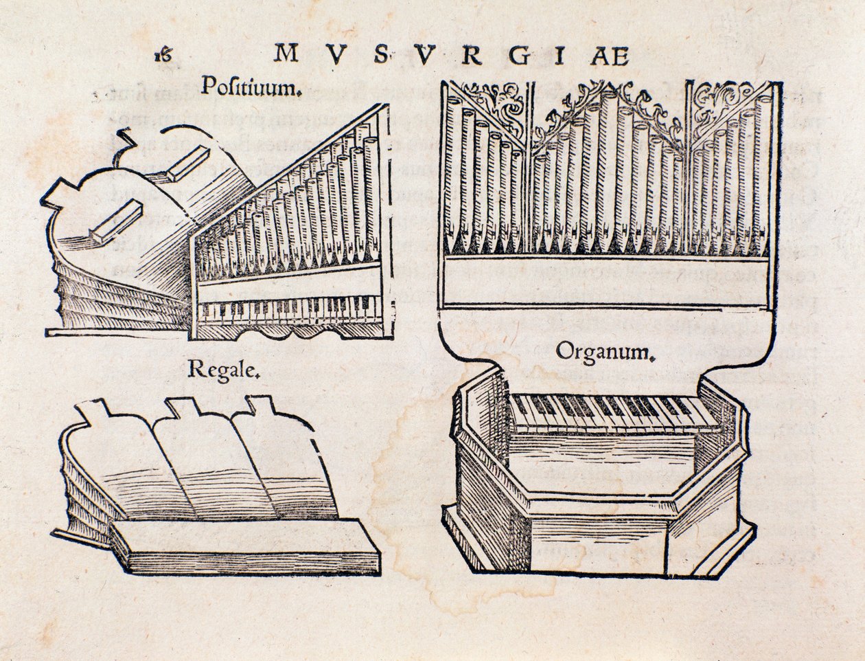Representação de órgãos. Página retirada de Musurgia manual prático de música de Unknown artist