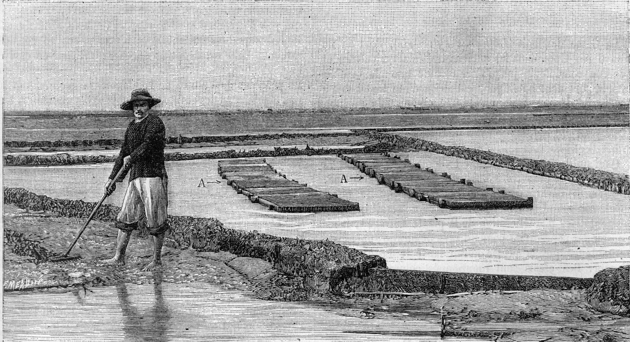 Ostreicultura - o cultivo de ostras na bacia do Arcachon (1894): vista geral de um parque de ostras. A, A: ambulâncias ou caixotes ostreófilos. (A partir de uma fotografia). Gravura em "La Nature: Revue des sciences et de leurs applications aux arts et a l de Unknown artist