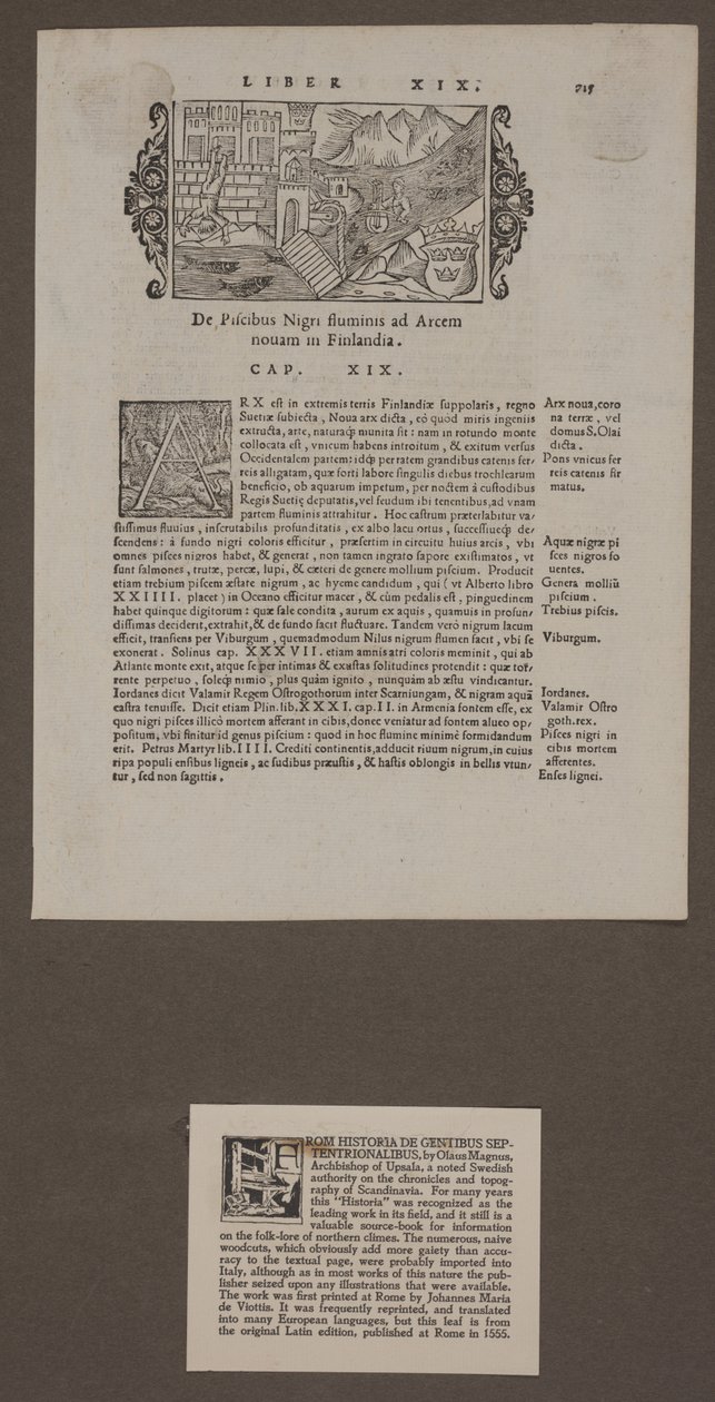 Página de "Descrição do Norte" por Olaus Magnus de Unknown artist