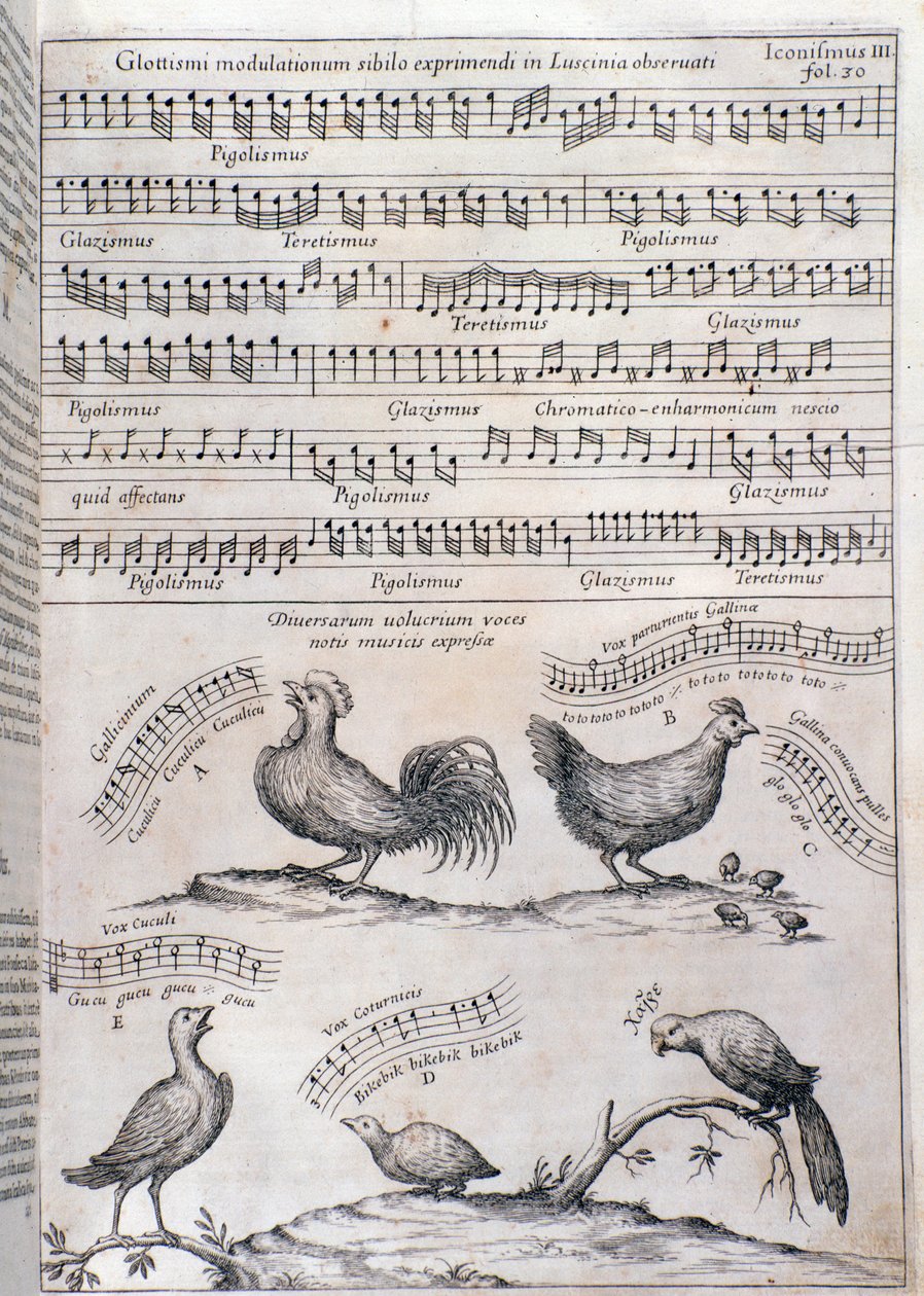 Página de Musurgia (1650) de Unknown artist