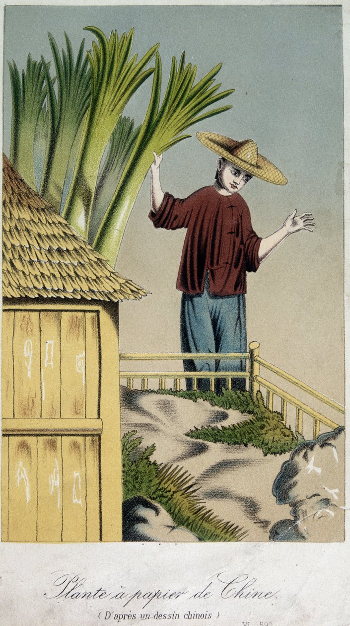 Fábrica de papel, China - gravura de Unknown artist
