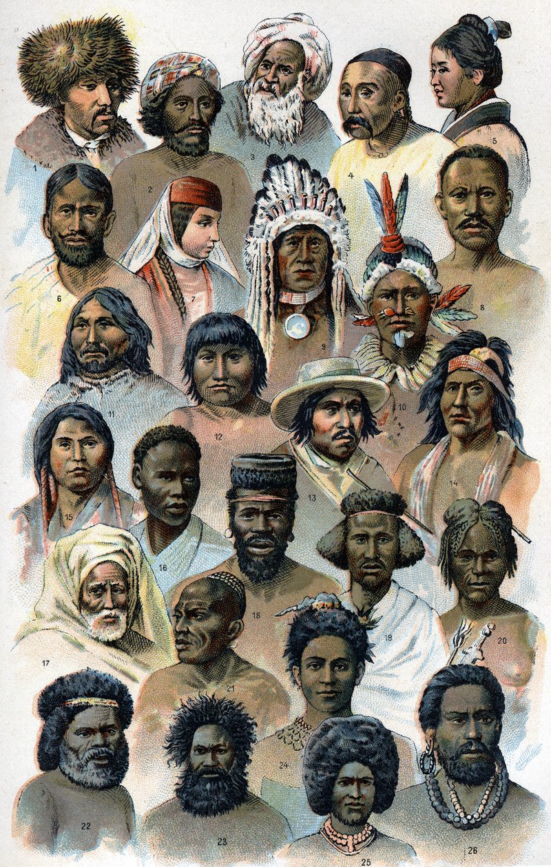 Fisiognomia e forma da cabeça das raças humanas estrangeiras." A nova medicação natural" de F.E. Bilz.1898. de Unknown artist