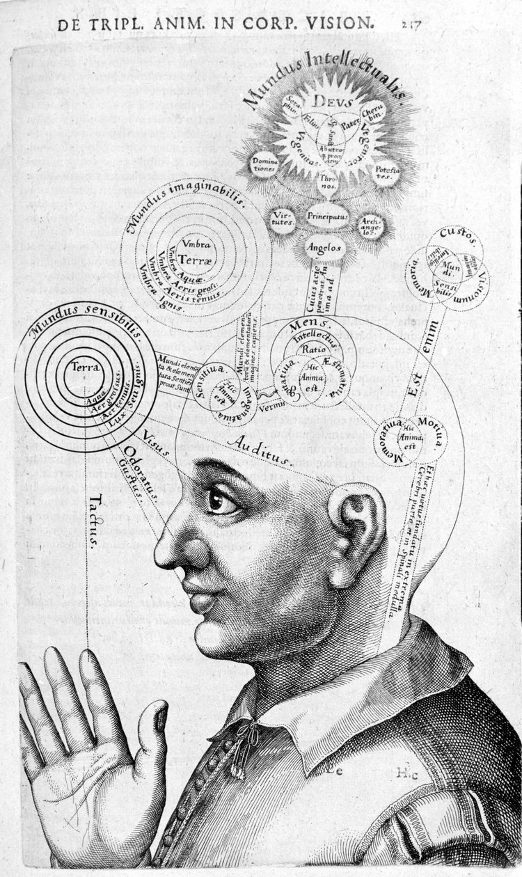 Fisiognomia (frenologia) de Collectio Operum de Robert Fludd (Robertus de Fluctibus). Londres 1617 de Unknown artist