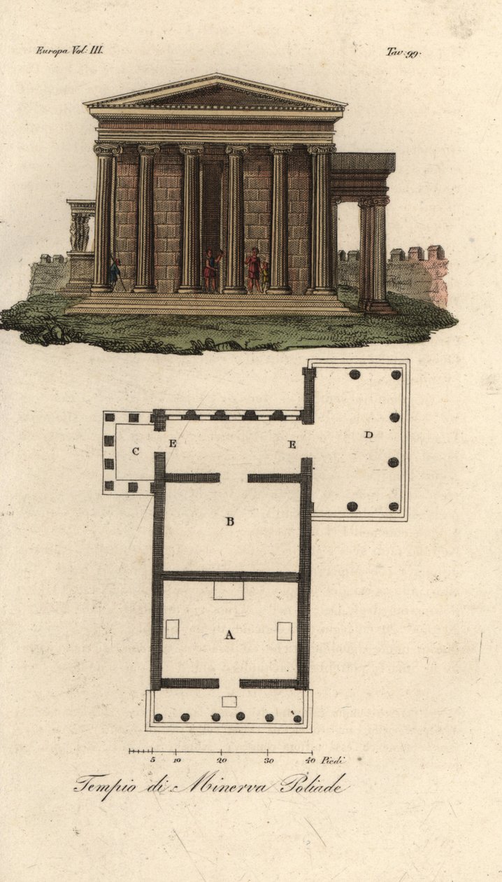 Plano e elevação do Erechtheion ou Erechtheum A, Templo de Netuno B, Templo de Minerva Polias com Pórtico dos Caryatids C, e Templo de Pandrosus ou Pandrosion D de Unknown artist