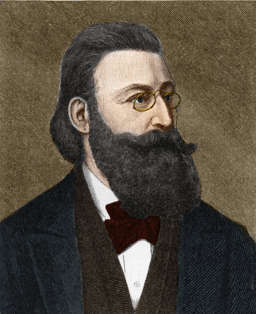 Retrato Ludwig Anzengruber (1839-1889), escritor austríaco. de Unknown artist