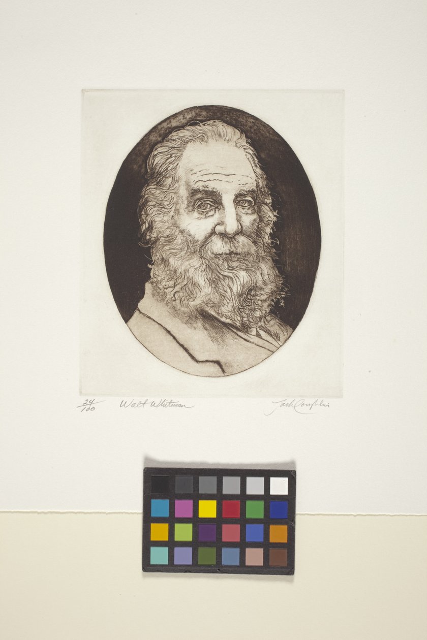 Retrato de Walt Whitman (tinta, impressão) de Unknown artist