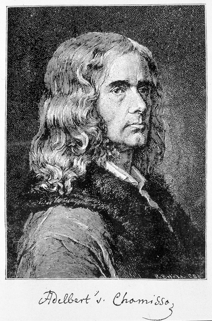 Retrato de Aldebert Von Chamisso de Boncourt (1781-1838), escritor e estudioso alemão de origem francesa - gravura de Unknown artist
