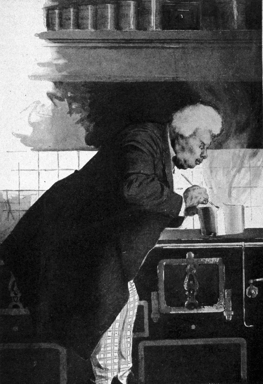 Retrato de Alexandre Dumas pai (1802 - 1870) nos fornos. de Unknown artist
