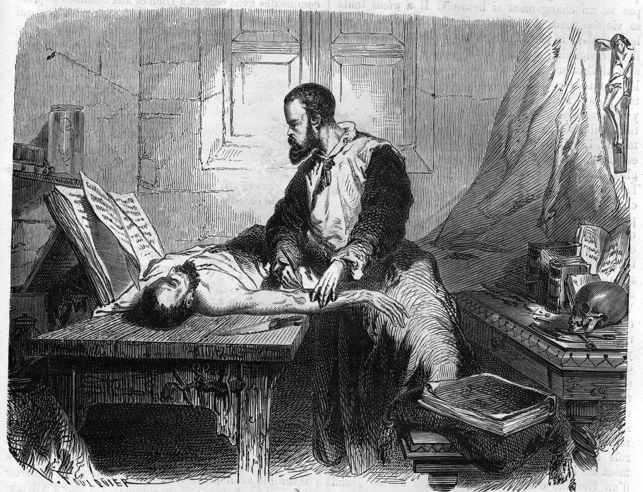 Retrato de André Vésale (1514-1564), anatomista holandês (Em latim: Andrea Vesalius, holandês: Andries Van Wesel). Gravura de 1866. de Unknown artist