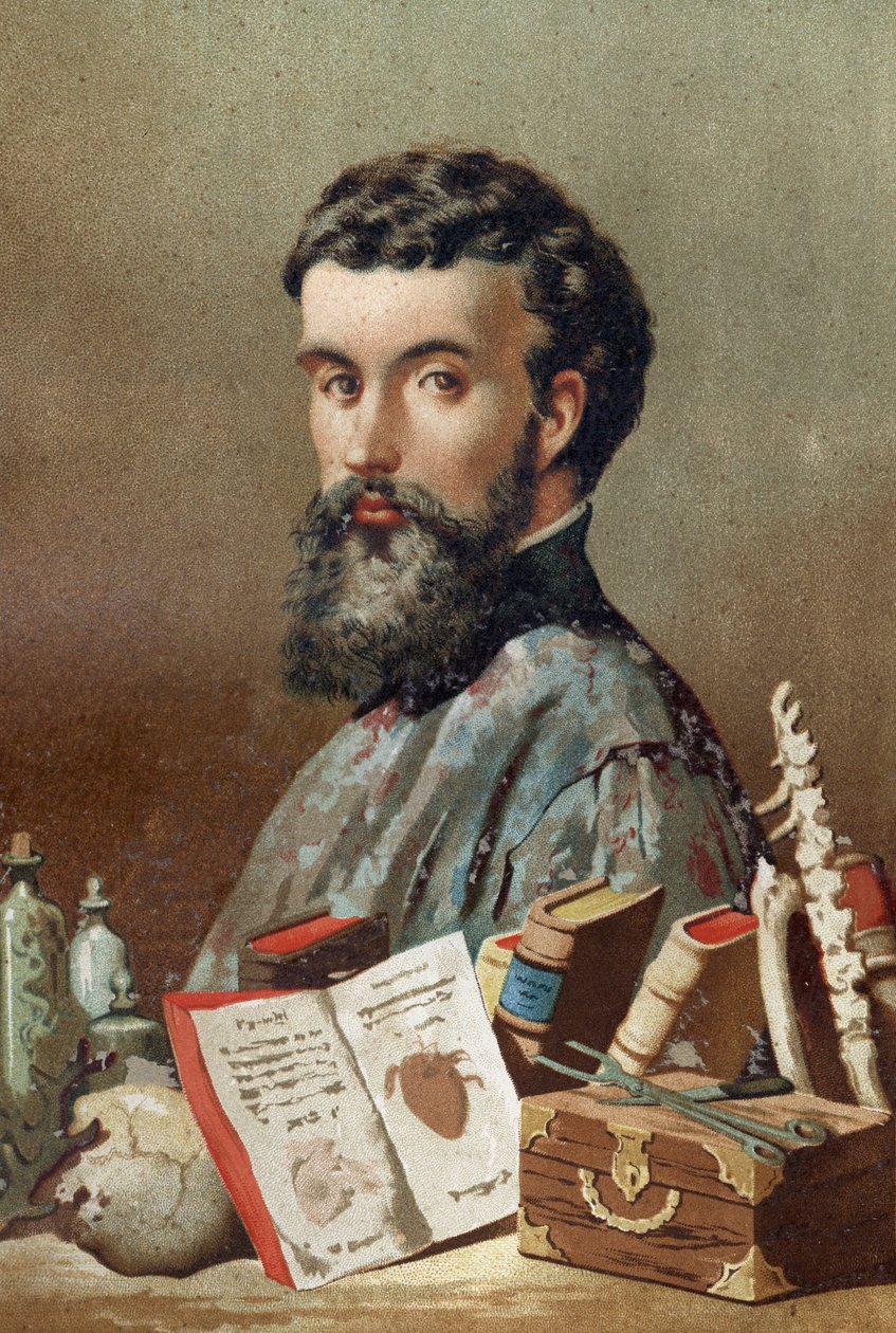 Retrato de André Vésale (1514-1564), anatomista holandês (em latim: Andrea Vesalius, em holandês: Andries Van Wesel) de "La Ciencia y sus Hombres" de Louis Figuier. Barcelona 1881. de Unknown artist