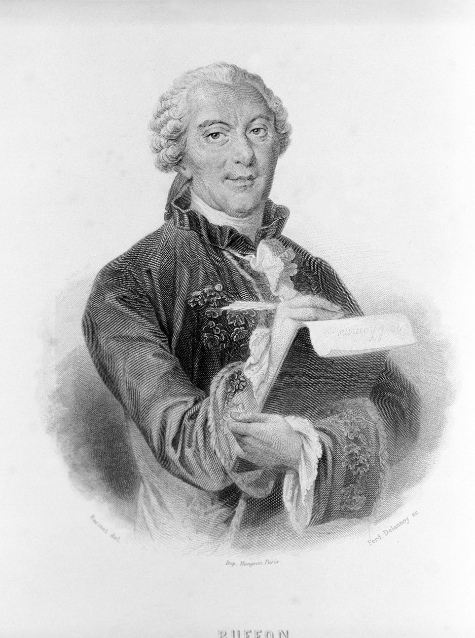 Retrato de Buffon (1707 - 1788), naturalista e escritor francês. de Unknown artist