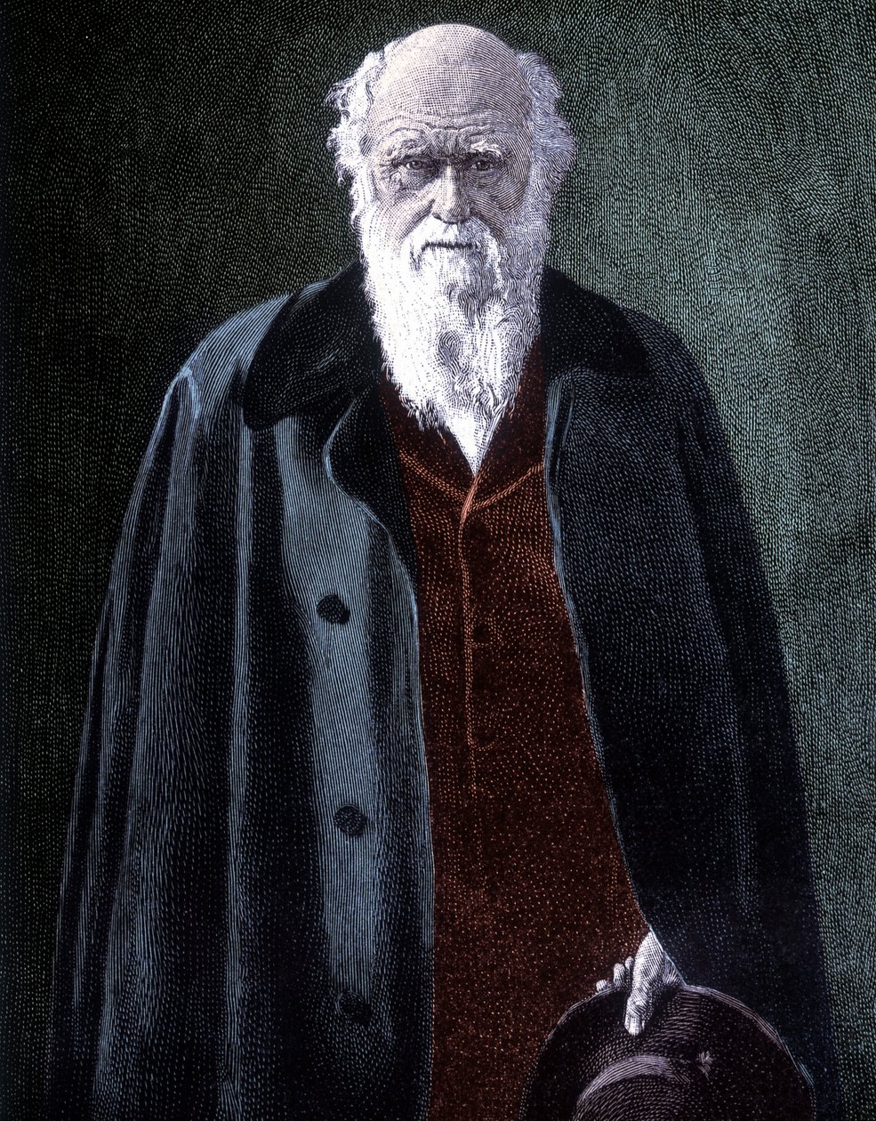 Retrato de Charles Darwin, naturalista britânico (1809 - 1882) de Unknown artist