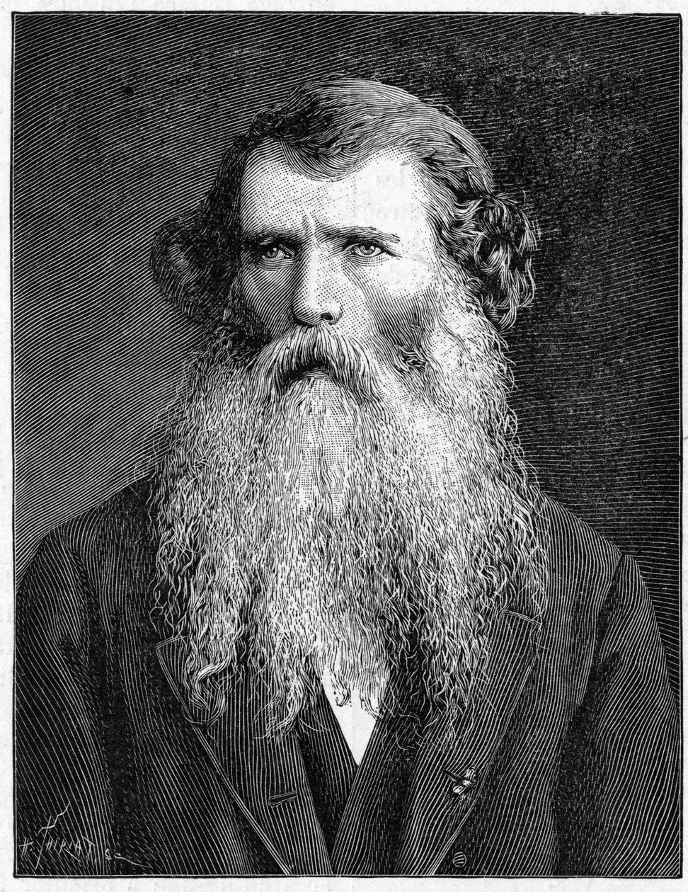 Retrato de Charles Victor Naudin, botânico francês. (1815-1899). Gravura de 1898. em "La Nature. Revisão das ciências e suas aplicações às artes e à indústria". de Unknown artist