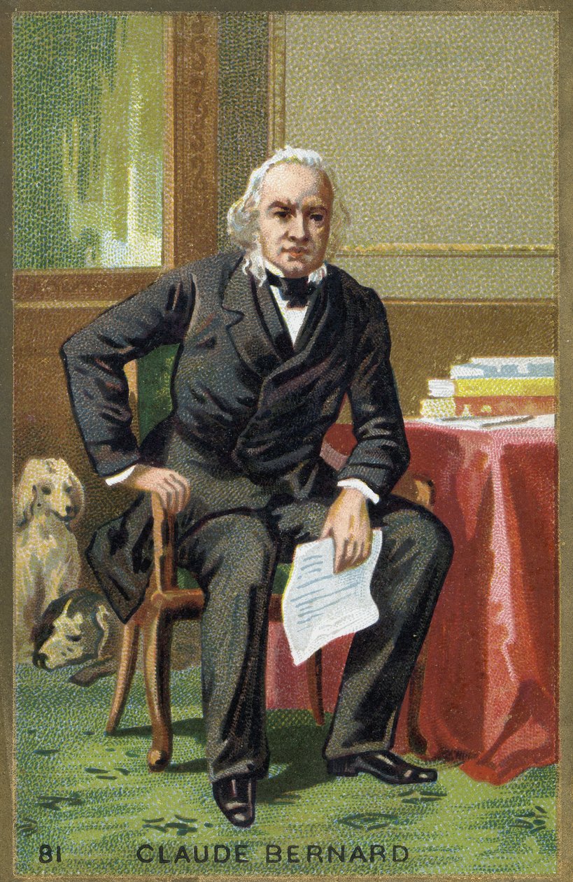 Retrato de Claude Bernard (1813-1878), fisiologista francês. de Unknown artist