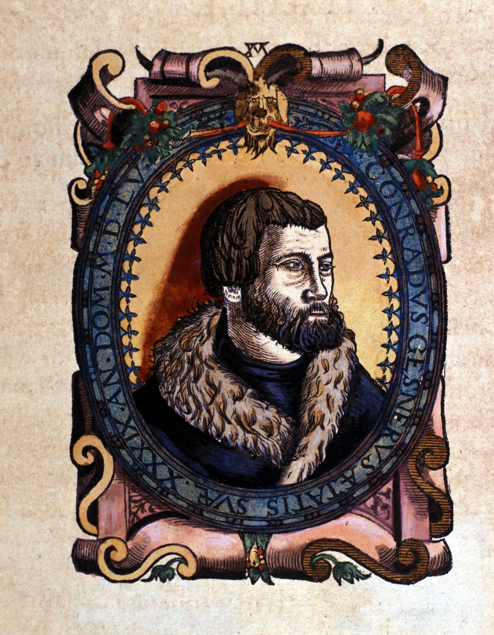 Retrato de Conrad Gesner (1516 - 1565) Médico de Zurique depois da Historia Animalium de Conrad Gesner, Tiguri 1560. Biblioteca nazionale Braidense. Milão de Unknown artist
