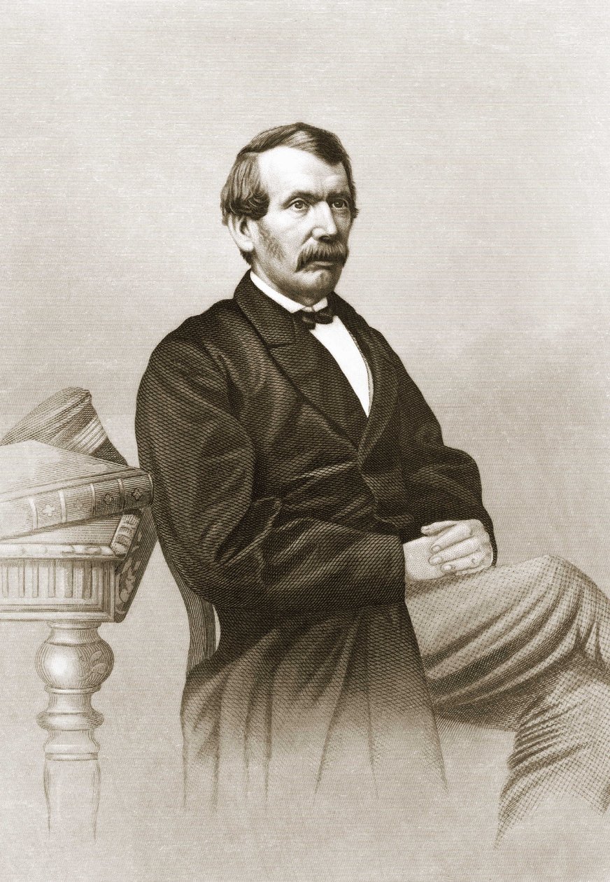 Retrato de David Livingstone (1813 - 1873). de Unknown artist