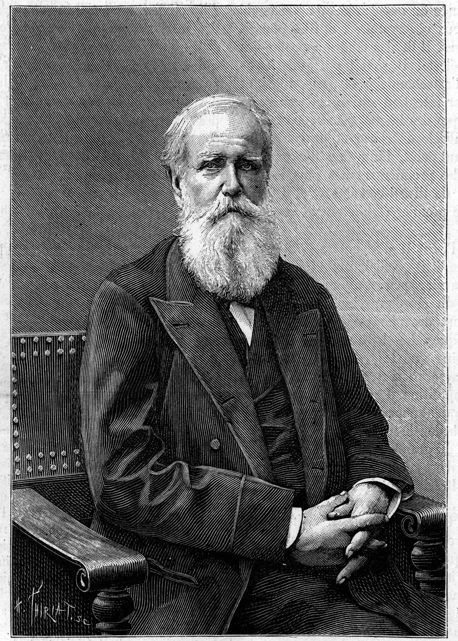 Retrato de Dom Pedro II de Alcântara (Pedro II) (1825-1891), Imperador do Brasil. (De uma fotografia de Nadar). Gravura em "La Nature: Revue des sciences et de leurs applications aux arts et a l