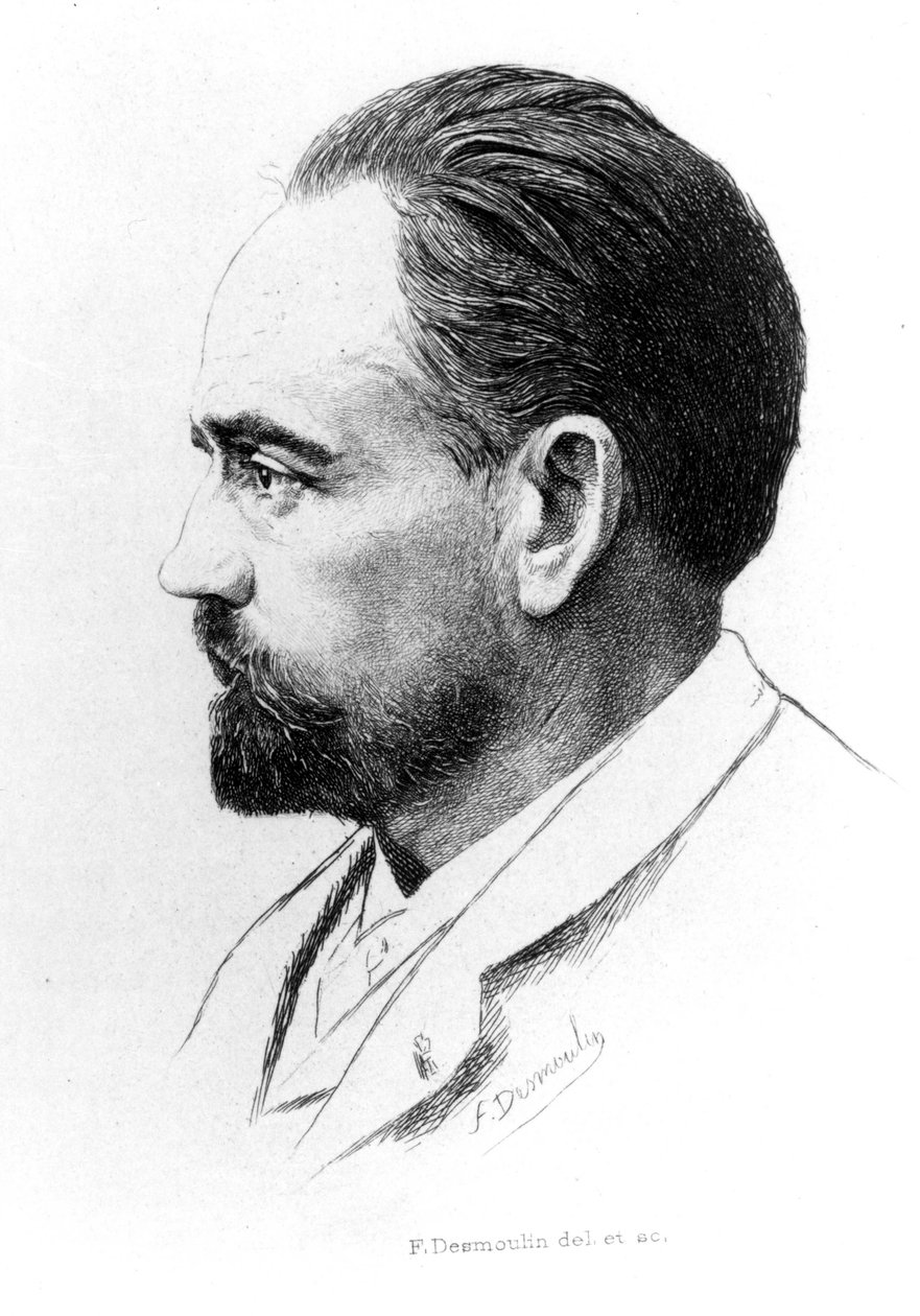 Retrato de Emile Zola de F. Desmoulin. de Unknown artist