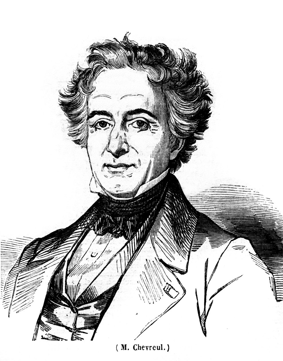 Retrato de Eugene Chevreuil (1786-1889), pintor francês. de Unknown artist