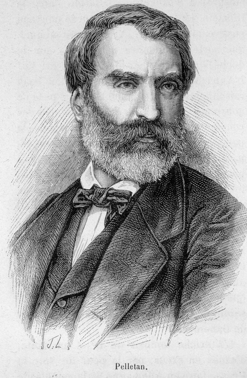 Retrato de Eugene Pelletan (1813-1884), jornalista, escritor e político francês. de Unknown artist