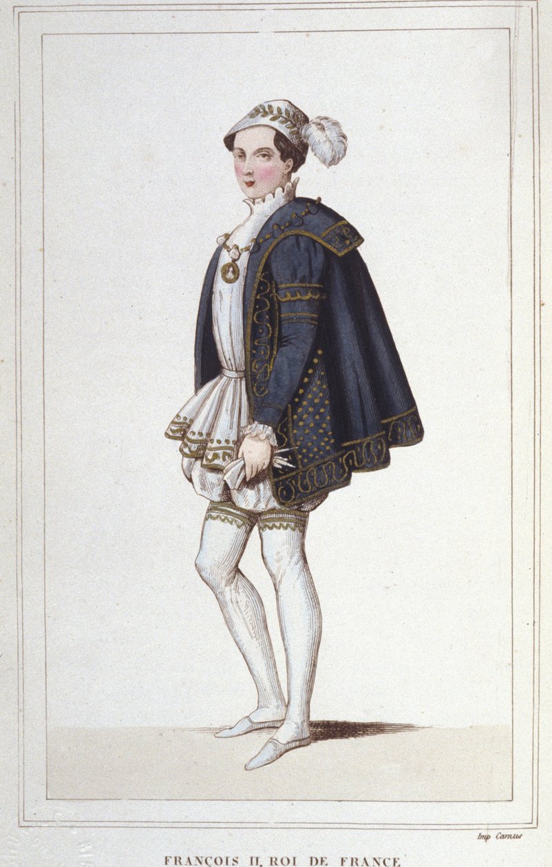 Retrato de François II (1544 - 1560), gravura do Rei de França a partir de 1830 de Unknown artist