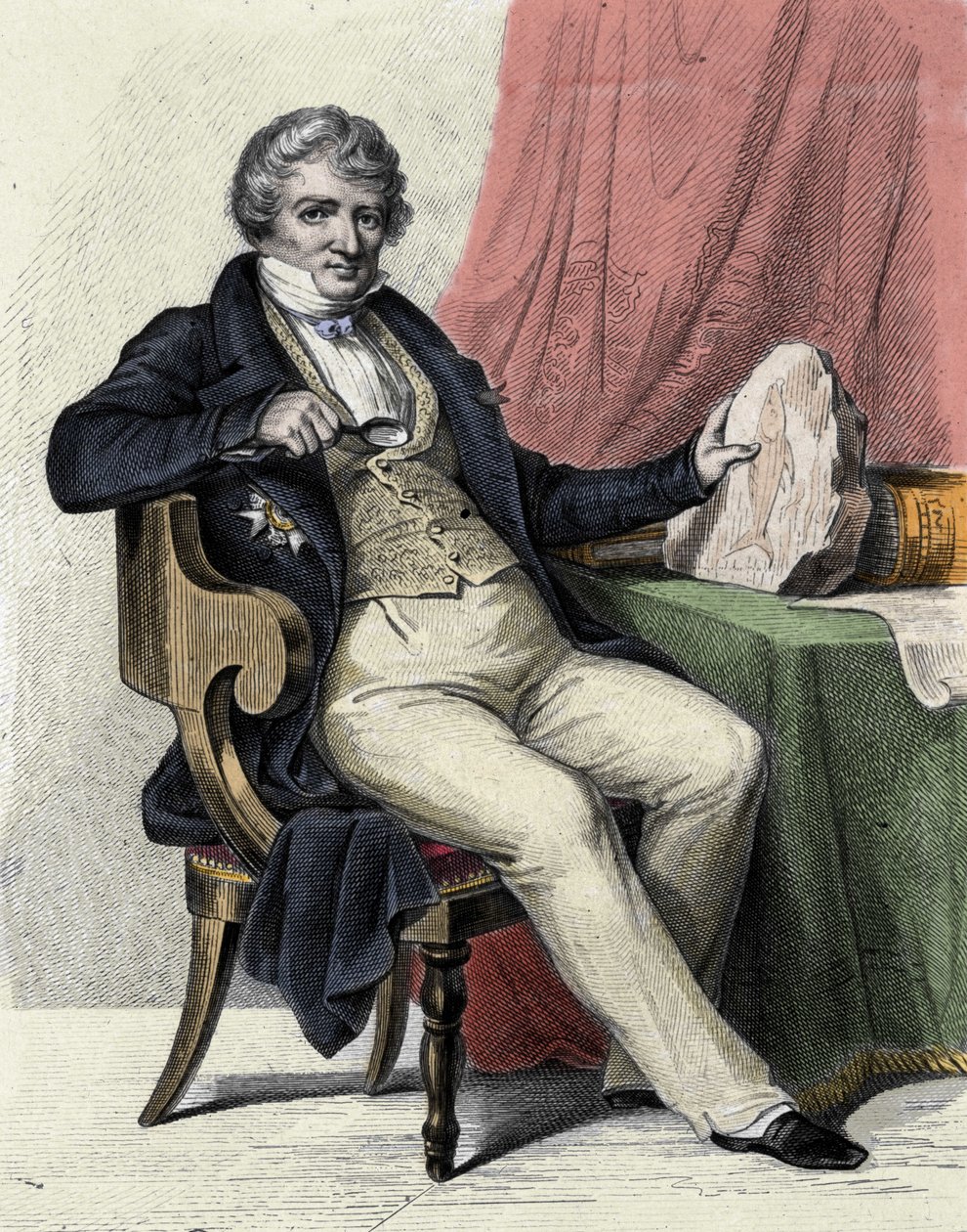 Retrato de Georges Cuvier de Unknown artist
