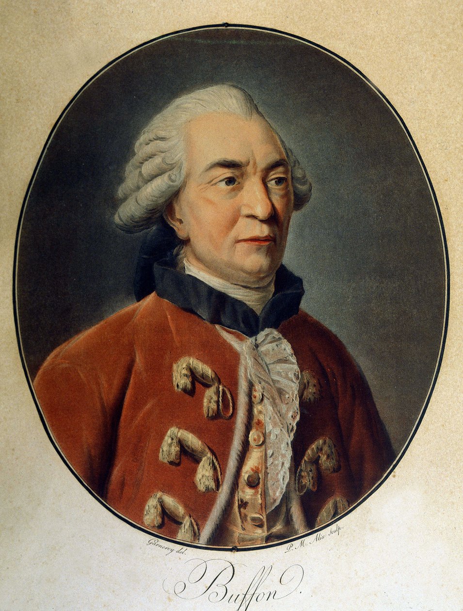 Retrato de Georges Louis Leclerc, Conde de Buffon (1707 - 1788), naturalista e escritor francês. de Unknown artist