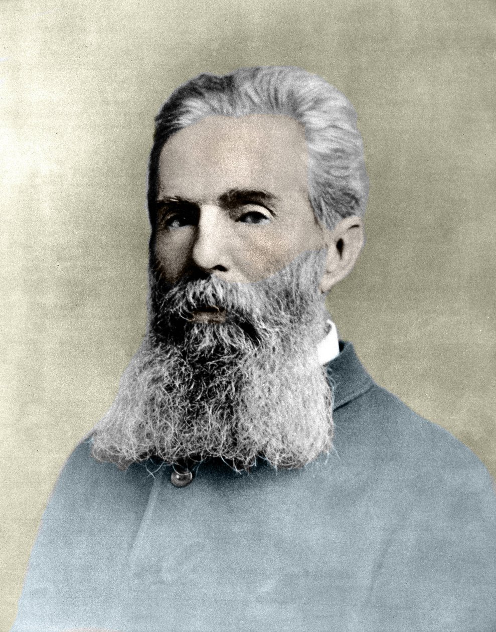 Retrato de Herman Melville (1819 -1891) romancista americano. de Unknown artist