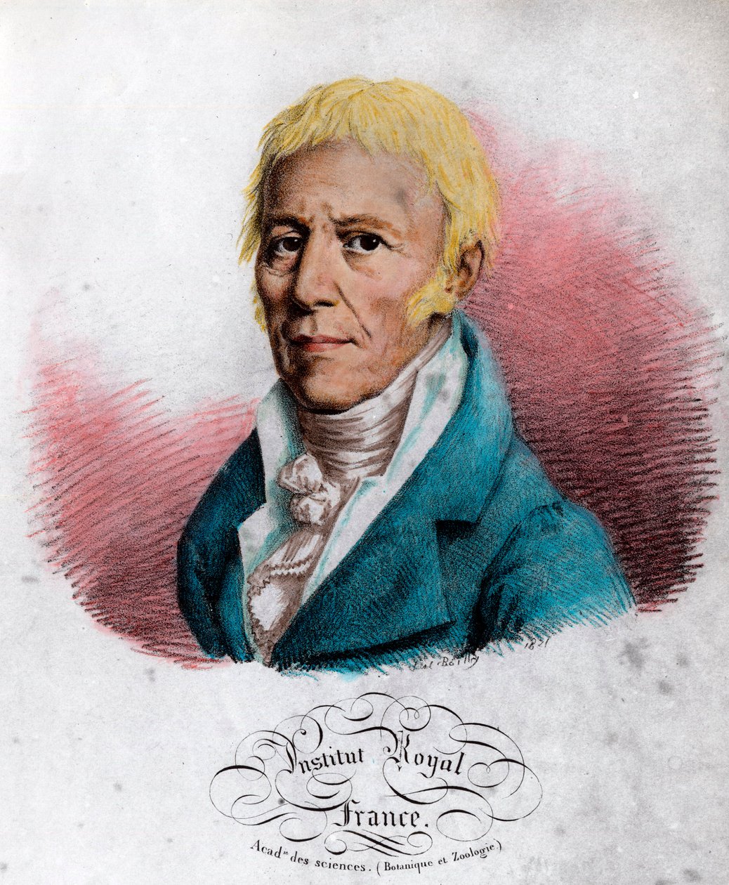 Retrato de Jean Baptiste Lamarck (1744-1829), naturalista francês. Gravura do século XIX. Coleção particular. de Unknown artist