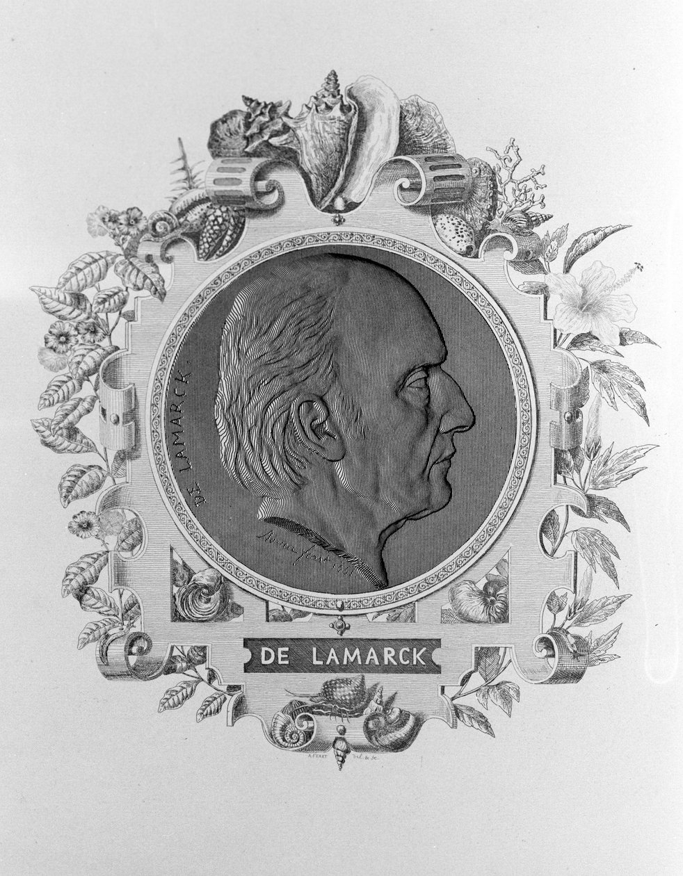 Retrato de Lamarck (1744 - 1829). de Unknown artist