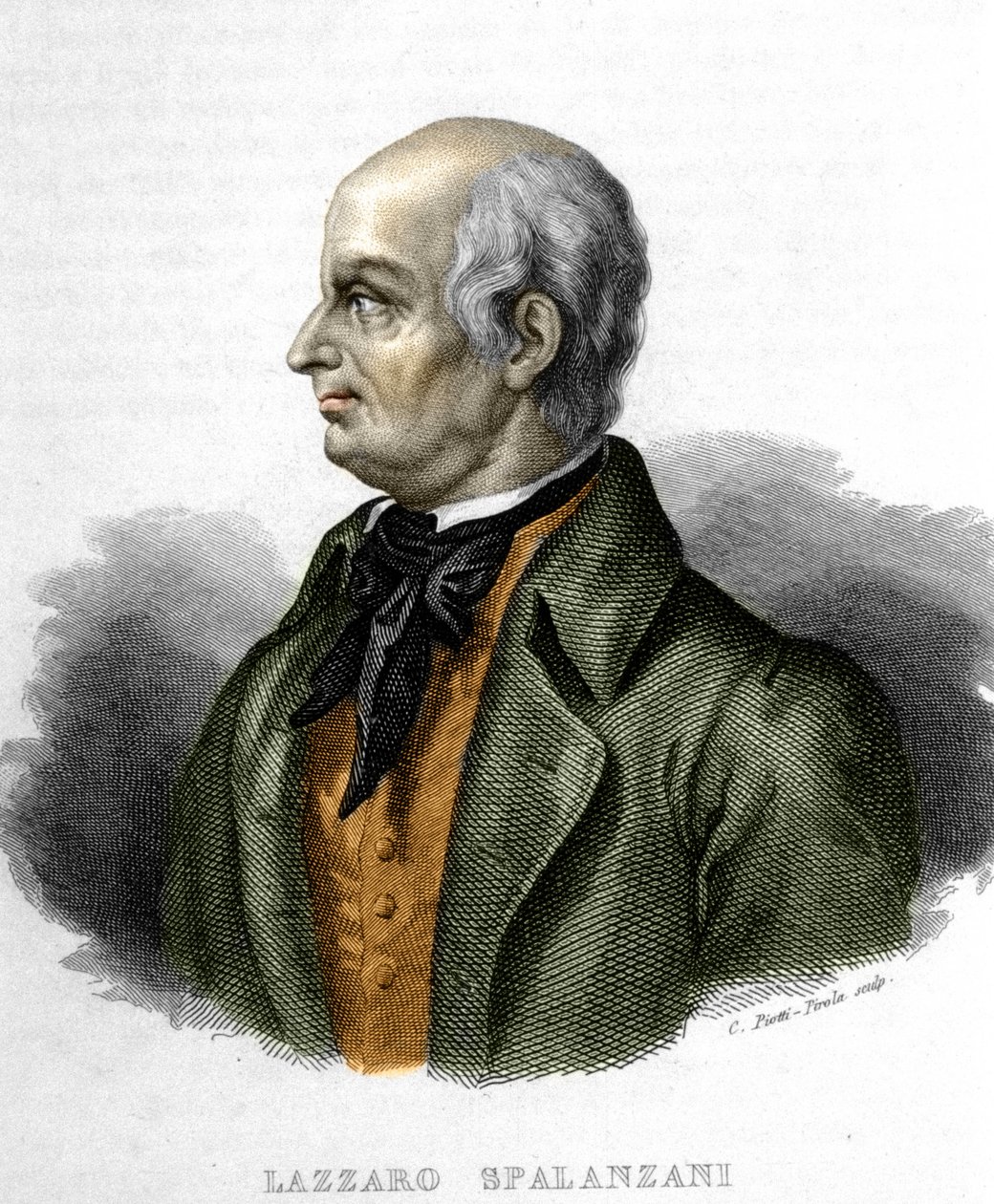 Retrato de Lazzaro Spalanzani (ou Spallanzani), biólogo italiano (1729 - 1799) de Unknown artist