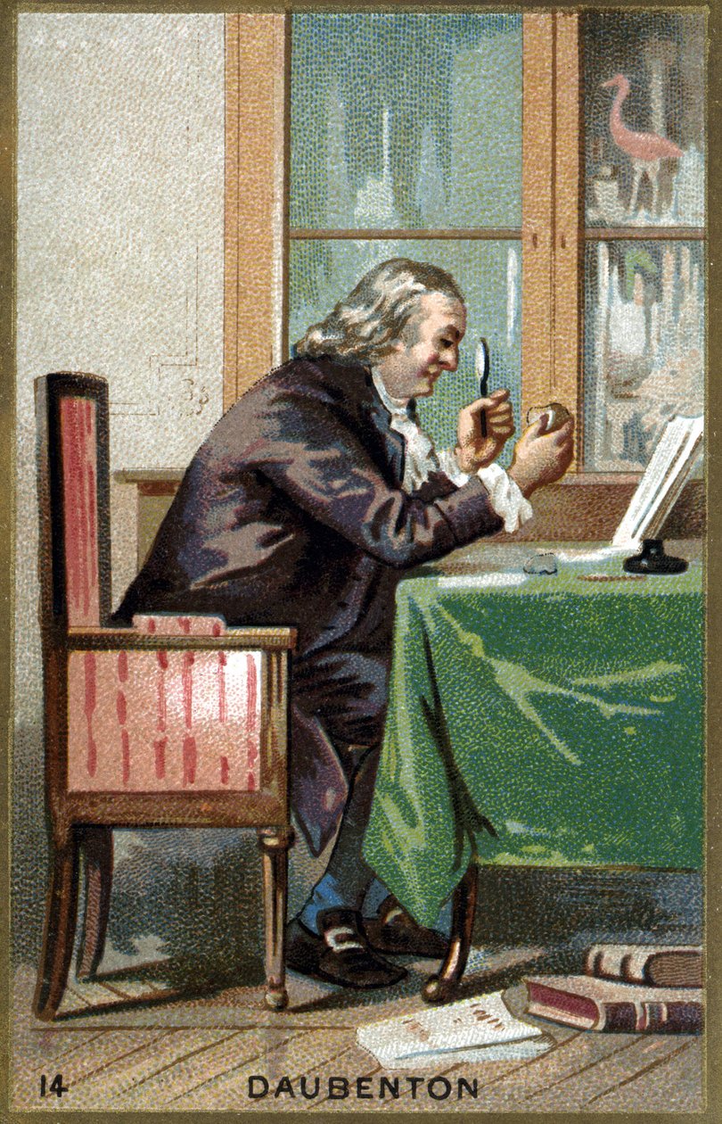 Retrato de Louis Jean Marie Daubenton, dit Daubenton (1716 - 1800), naturalista francês. Cromolitografia do século XIX. de Unknown artist