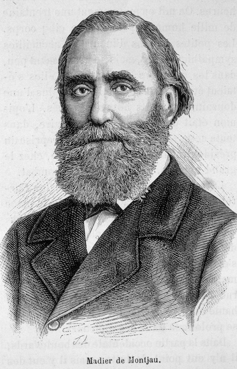 Retrato de Madier de Montjau, deputada francesa do século XIX. de Unknown artist