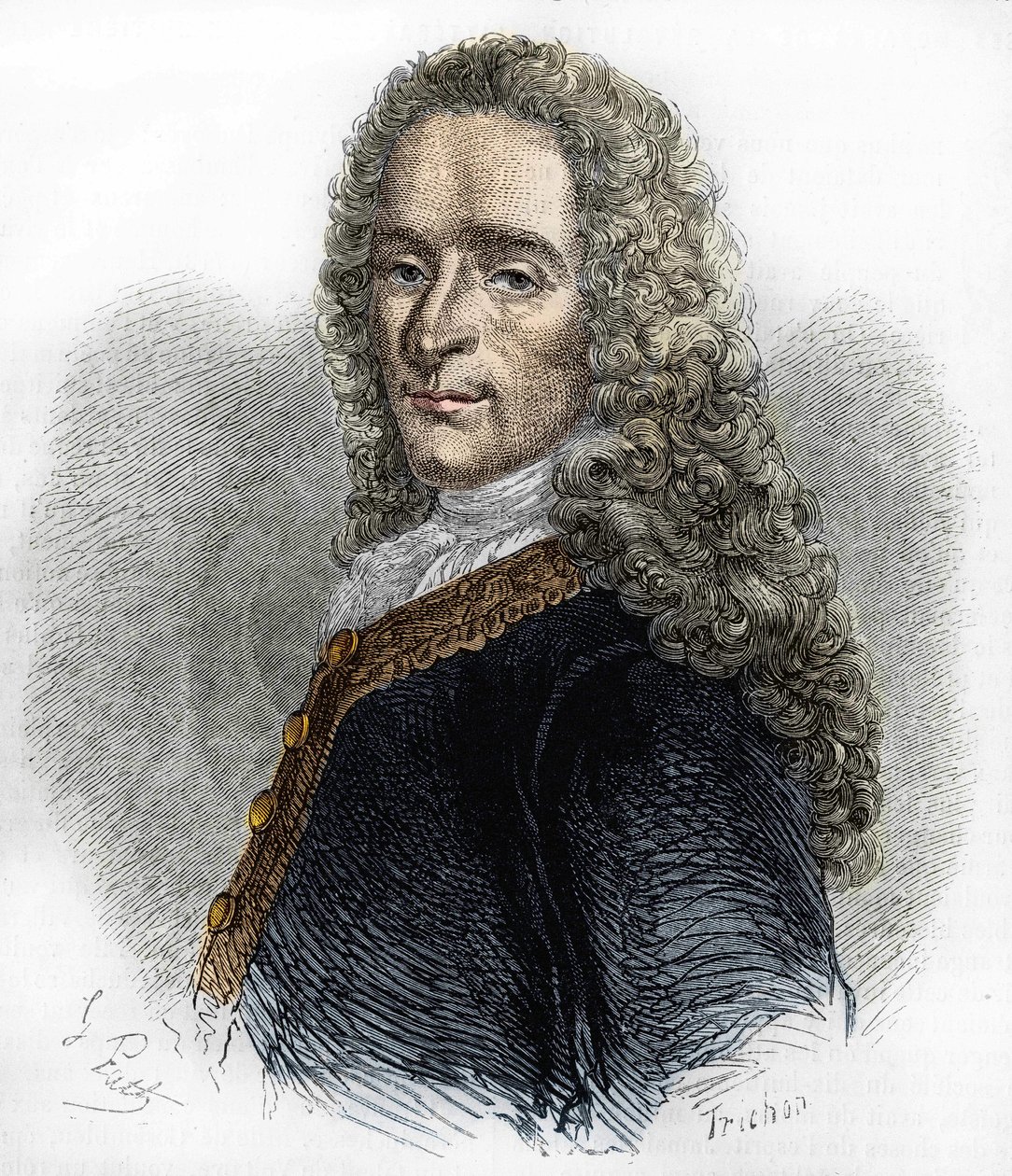 Retrato de Marie-François Arouet de Voltaire (1695-1778), escritora francesa. de Unknown artist
