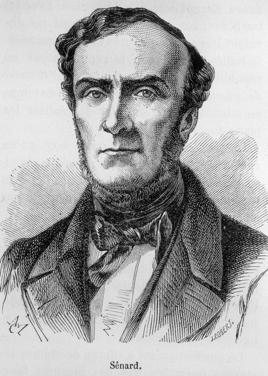 Retrato de Marie Antoine Jules Senard, membro da Ordem dos Advogados de Paris, ex-presidente da Assembleia Nacional e ex-ministro do Interior. Ele defendeu Gustave Flaubert durante o julgamento, após a publicação da Madame Bovary. Gravura do século XIX. de Unknown artist