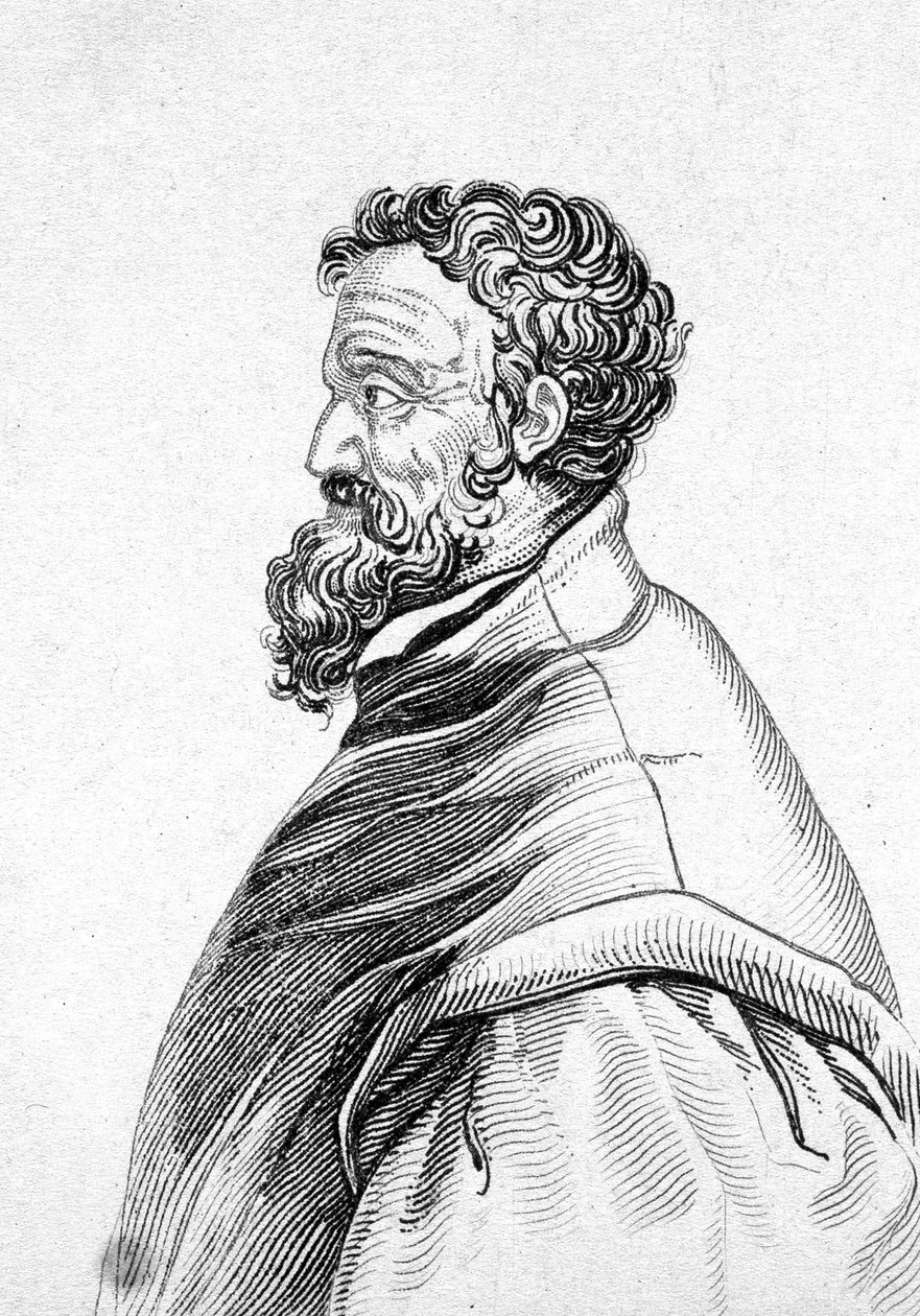Retrato de Miguel Ângelo Buonarroti este Michel Ange (Michelangelo ou Michelangelo de Unknown artist