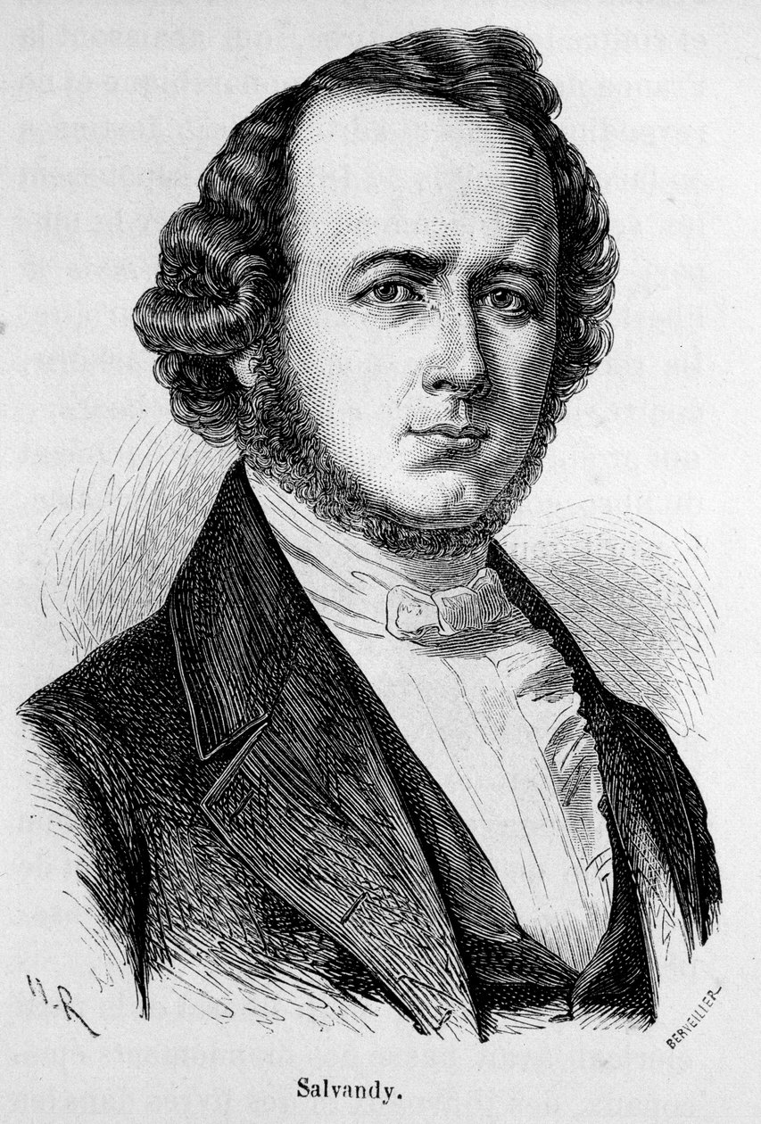 Retrato de Narciso de Aquiles, Conde de Salvandy, político francês (1795 - 1856) de Unknown artist