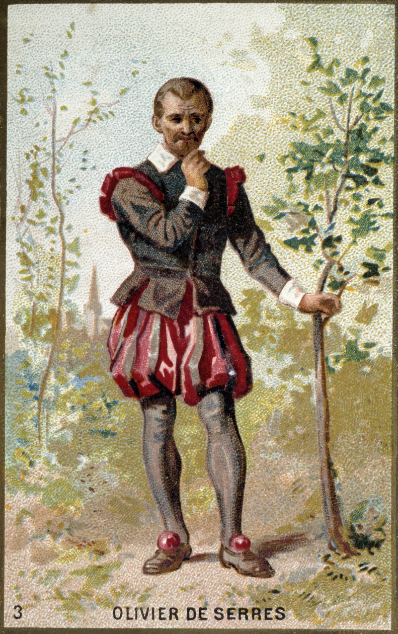 Retrato de Olivier de Serres (1539 - 1619), agrônomo francês. Cromolitografia do século XIX. de Unknown artist