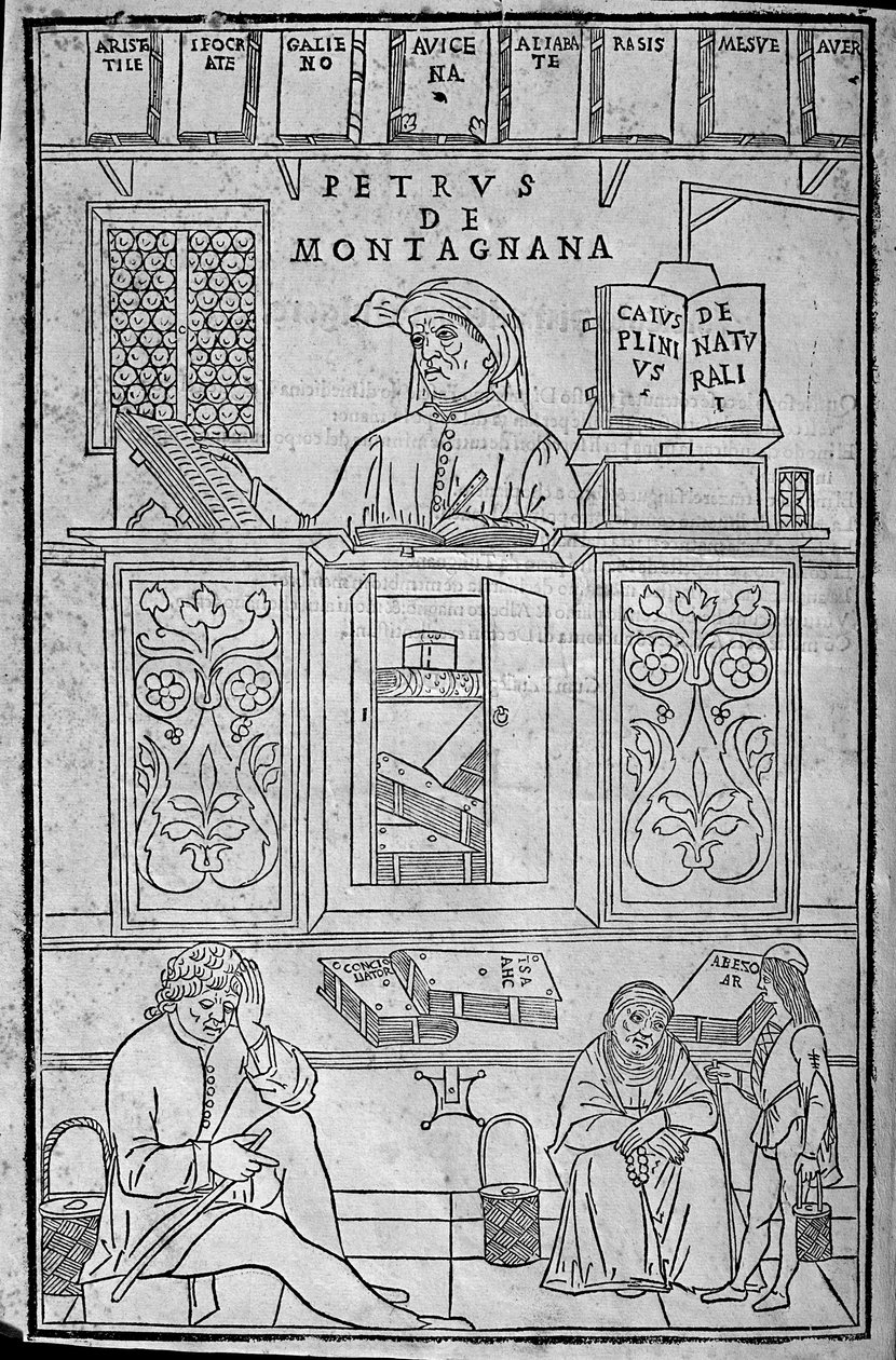 Retrato de Pietro da Montagnana, um professor de medicina Paduan rodeado de livros médicos gregos e árabes, e três pacientes à espera de fazer exames de urina. de Unknown artist