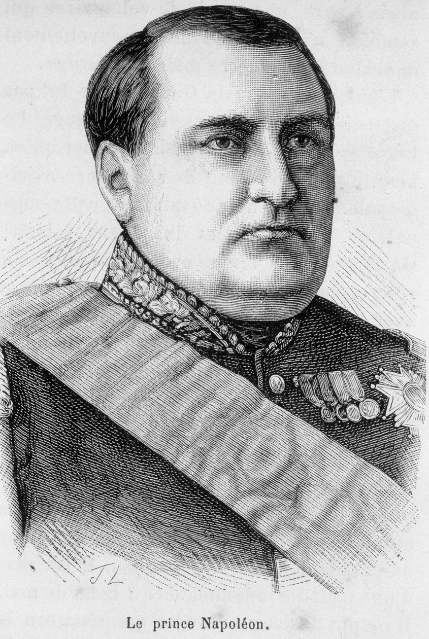 Retrato do Príncipe Napoleão de Unknown artist