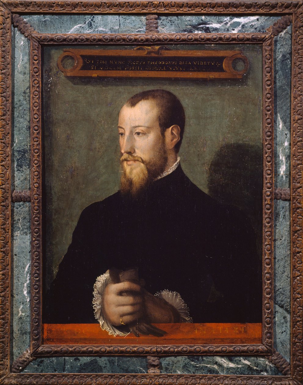 Retrato de Theodore Beza ou Theodore de Beze (1519-1605) aos 24 anos de idade, teólogo francês, pintura de pintor anónimo de Unknown artist