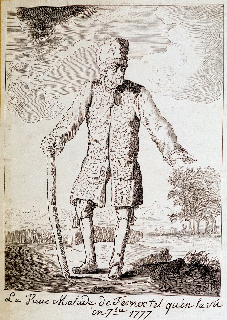 Retrato de Voltaire (1694 - 1778), escritor e filósofo francês, idoso. de Unknown artist
