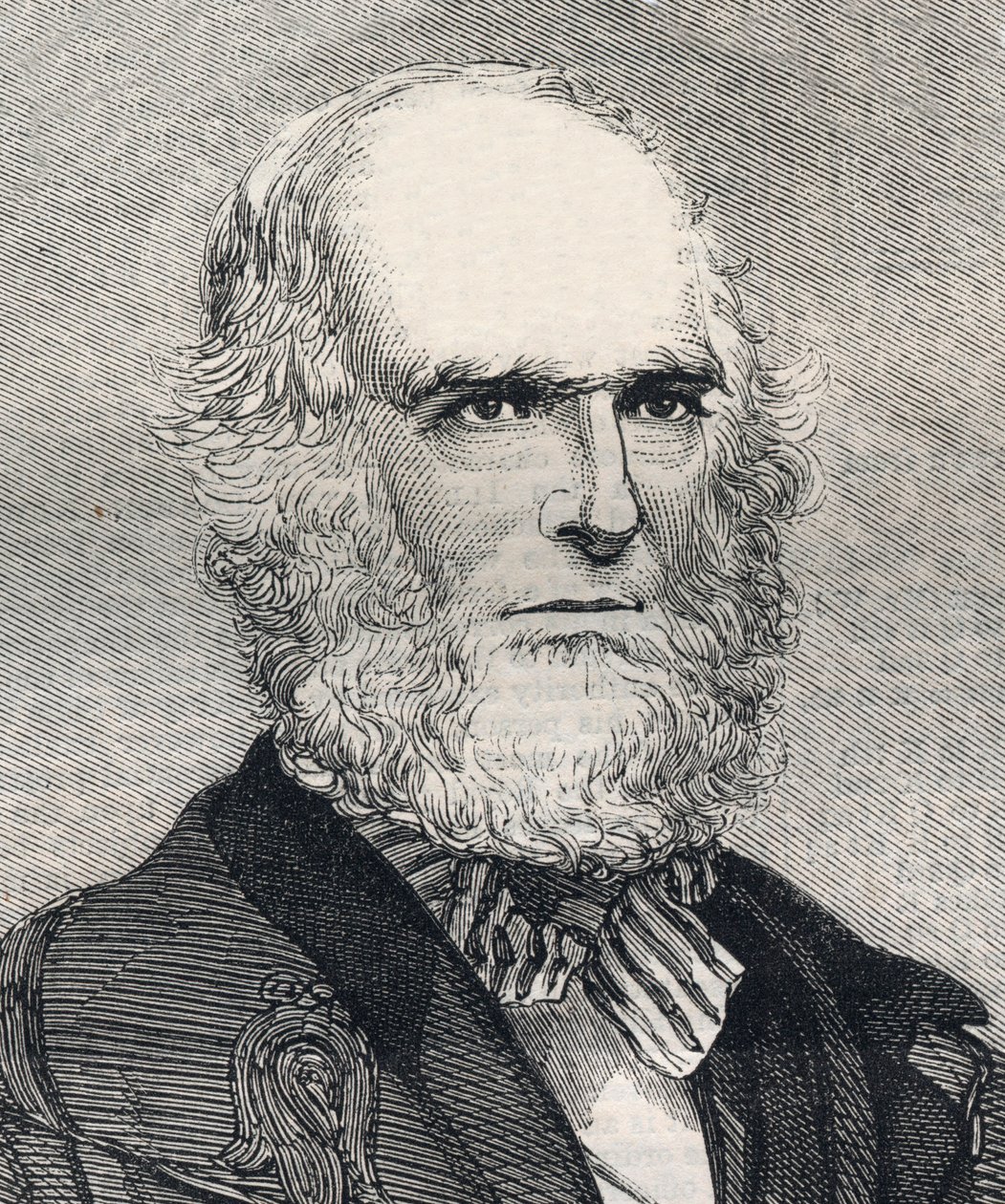 Retrato de William Cullen Bryant (1794-1878), poeta americano. Gravura em "The illustrated London News", de 23 de Janeiro de 1858. de Unknown artist