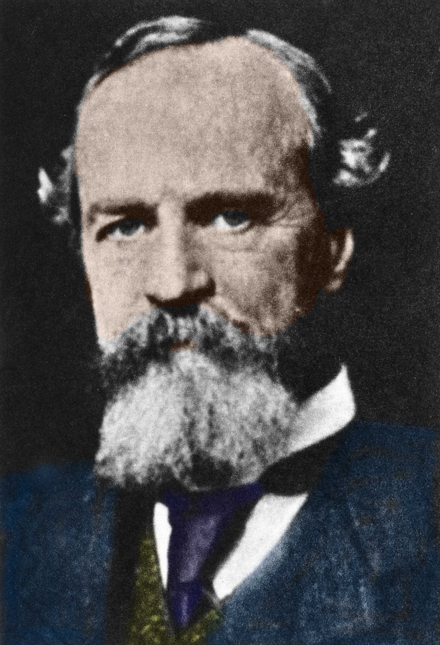 Retrato de William James (1842-1910), filósofo pragmático americano. de Unknown artist