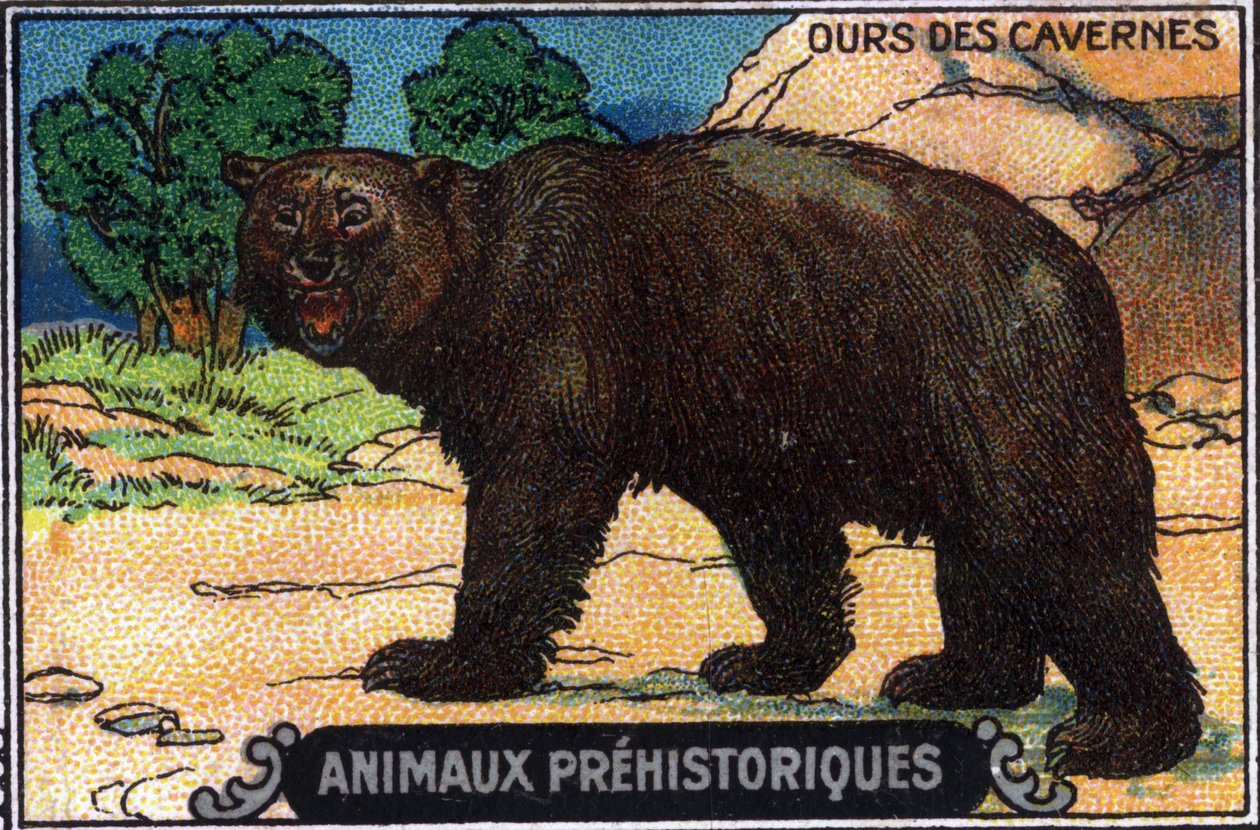 Animal pré-histórico: um urso das cavernas. de Unknown Artist